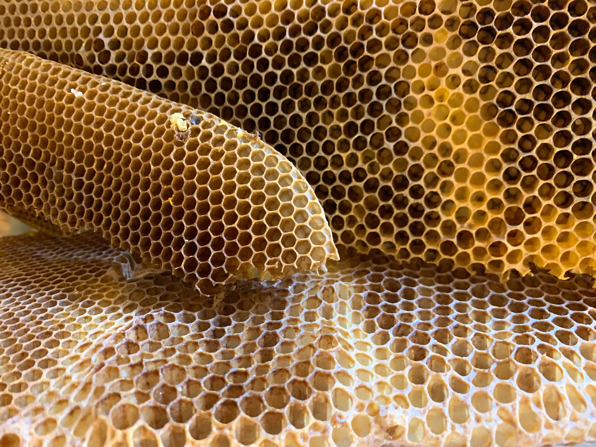 kerzen-hermanns-heimlicht-landstuhl-bienenwachs